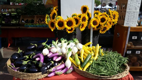 Copley Square Farmers Market by null