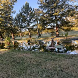 Francis Park