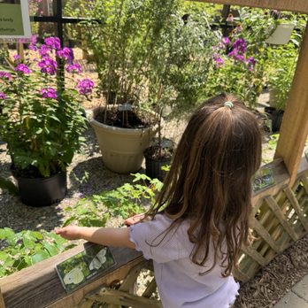 Butterflies of Cape Cod - Gift Shops Near Me - Buzzards Bay, Massachusetts