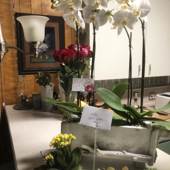 Pismo Beach Florist - Gorgeous orchids and succulents! - Florists Near Me - Pismo Beach, California Pismo Beach Florist - Gorgeous orchids and succulents! - Florists Near Me - Pismo Beach, California