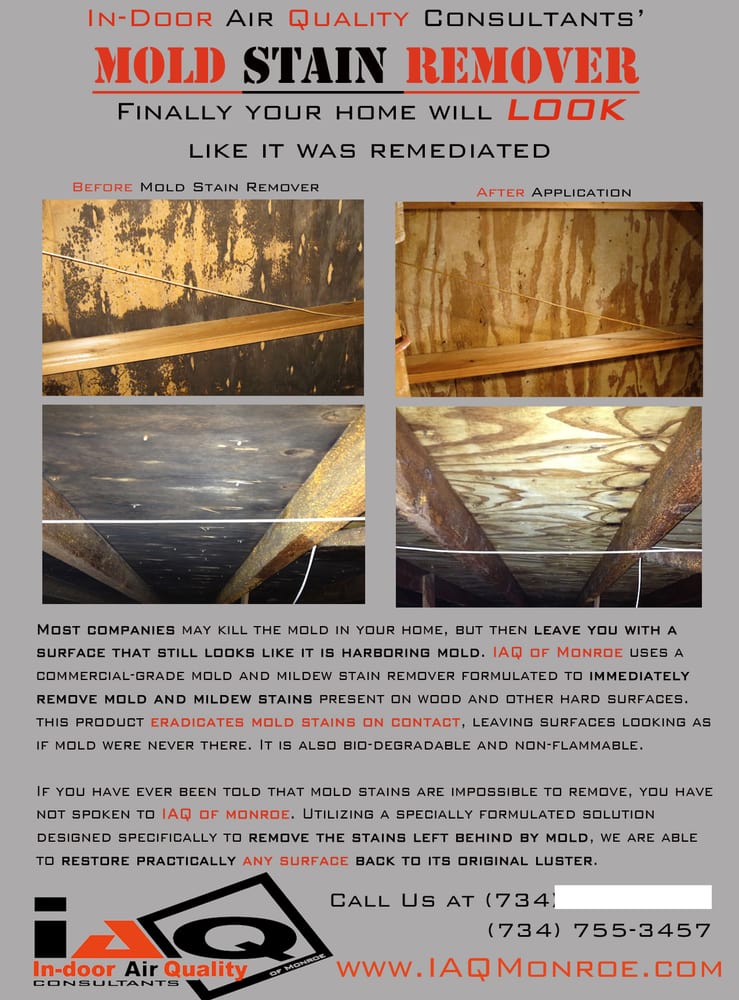 In-Door Air Quality Consultants - mold inspector in Monroe, MI