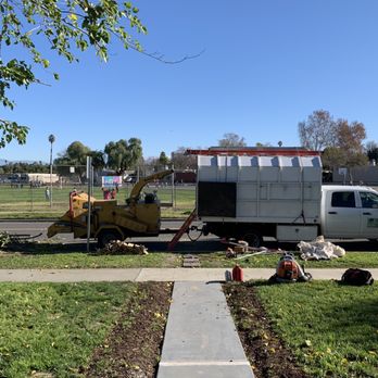 Avina Tree Service - Tree Services Near Me