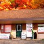 Photo of Bay View Bait & Tackle