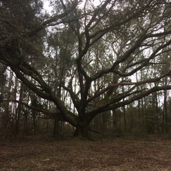 Escambia County Equestrian Center - Beautiful paths