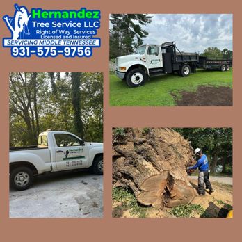 Hernandez Tree Service - We have the best tools to provide a quality project. - Tree Services Near Me - Shelbyville, Tennessee Hernandez Tree Service - We have the best tools to provide a quality project. - Tree Services Near Me - Shelbyville, Tennessee