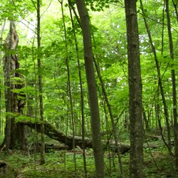 Little Cataraqui Creek Conservation Area