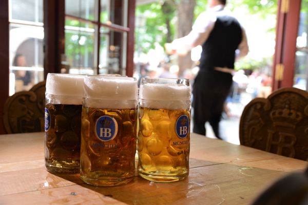 Hofbräuhaus München by null