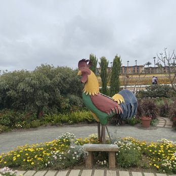 The Flower Fields - flowers - Venues & Event Spaces Near Me - Carlsbad, California The Flower Fields - flowers - Venues & Event Spaces Near Me - Carlsbad, California
