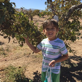 Knaus Apple Ranch - Pick Your Own Farms Near Me - Tehachapi, California
