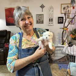 Pets Plus - Minnie Sue and MaltiPoo