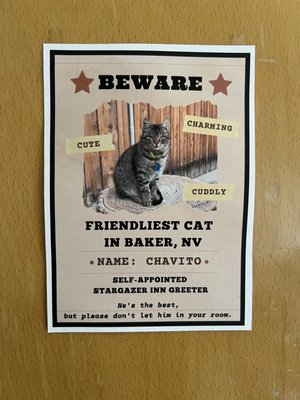 Kerouac's Restaurant by null