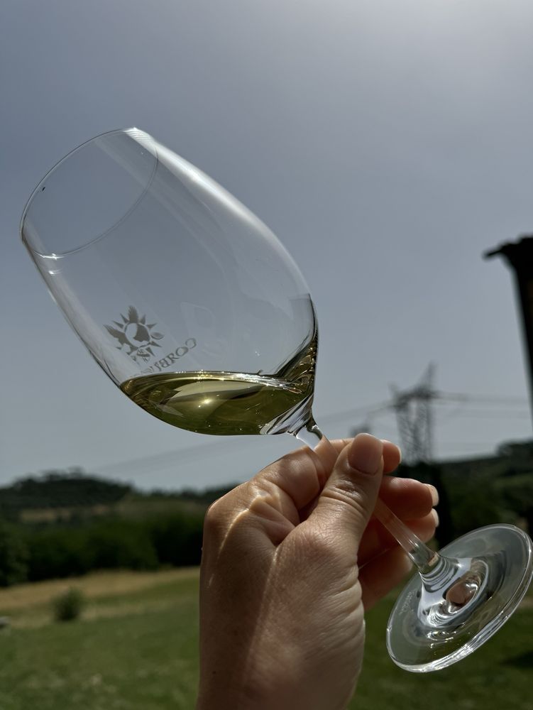Wine Tours in Tuscany with Italy and Wine