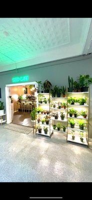 Seed Cafe and Espresso Bar by null