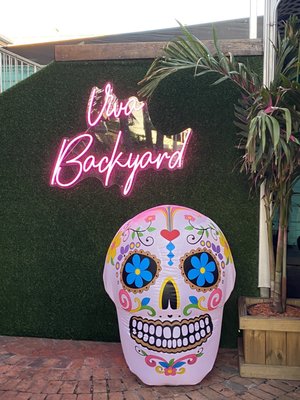 Backyard by null