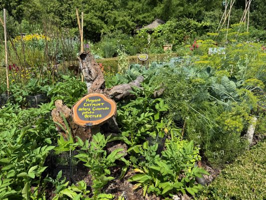 Olbrich Botanical Gardens by null