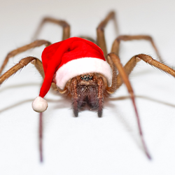 Apocalypse Pest Control - Merry Christmas!