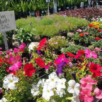 Whispering Tree Nursery - Nurseries & Gardening Near Me - Santa Maria, California Whispering Tree Nursery - Nurseries & Gardening Near Me - Santa Maria, California