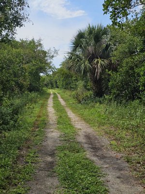 Pelican Island National Wildlife Refuge by null