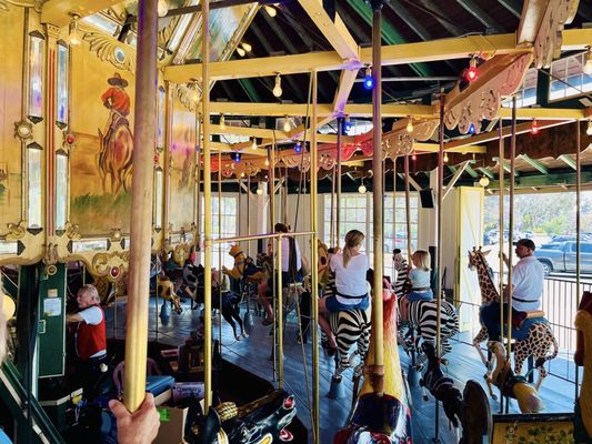 Balboa Park Carousel by null