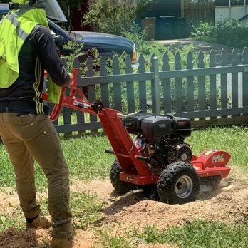 Austin Tree Care Service - Dennis stump grinding - Tree Services Near Me - Dale, Texas
