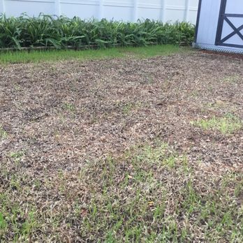 Trad's Pest Control - Pest Control Near Me - Jacksonville, Florida Trad's Pest Control - Pest Control Near Me - Jacksonville, Florida