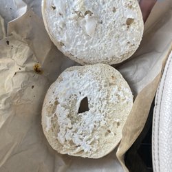 Port City Java - Bagel with no cheese