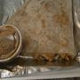Photo of Tacoholic