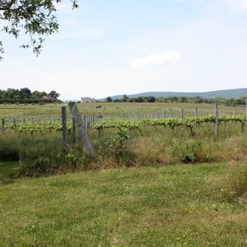 Corcoran Vineyards - Wineries Near Me - Waterford, Virginia Corcoran Vineyards - Wineries Near Me - Waterford, Virginia