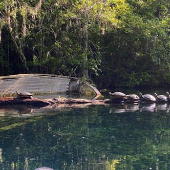 Discovery Kayak and Sup - Rafting/Kayaking Near Me - Silver Springs, FL, Florida