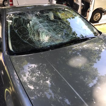 Preferred Auto Glass - 2005 VW , a tree fell and got the best of this one. Not to worry! - Windshield Installation & Repair Near Me - Annandale, Virginia Preferred Auto Glass - 2005 VW , a tree fell and got the best of this one. Not to worry! - Windshield Installation & Repair Near Me - Annandale, Virginia