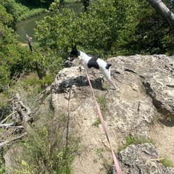 Backbone State Park