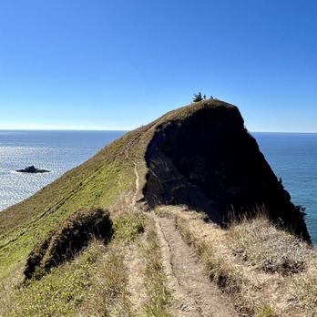 God’s Thumb Trail - Trail heading to God's Thumb. - Hiking Near Me - Lincoln City, Oregon