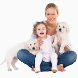 Magic Clean Air Duct Cleaning Service - We leave will leave your home clean, dust and allergy free, for you, your family and pets.
