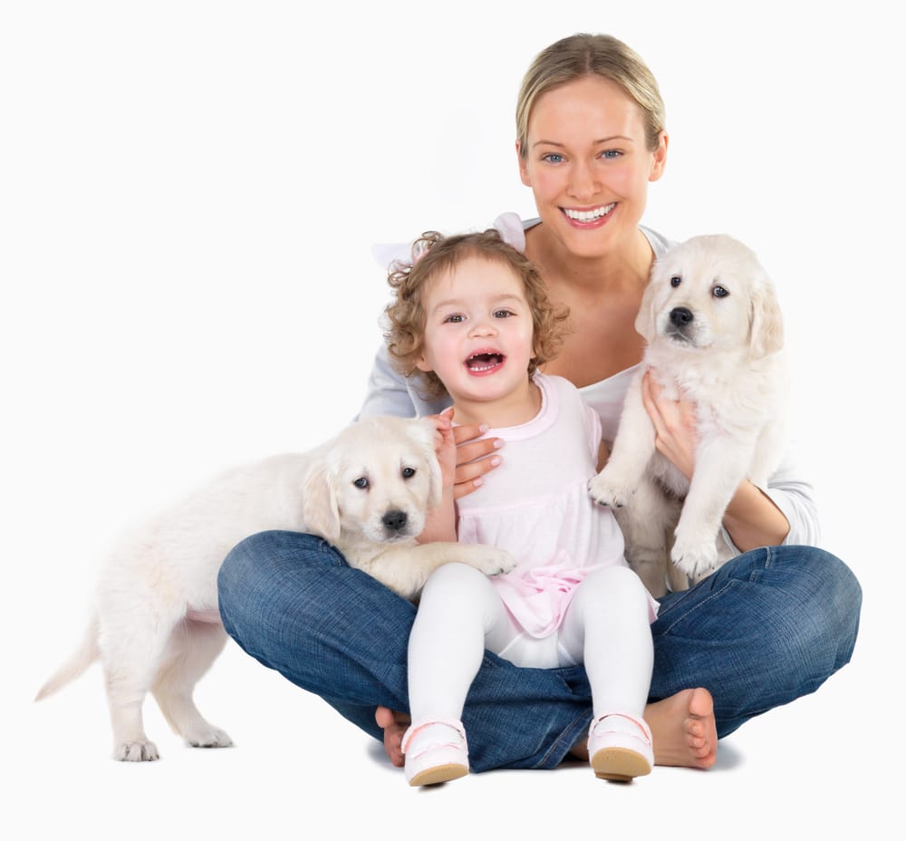 Magic Clean Air Duct Cleaning Service