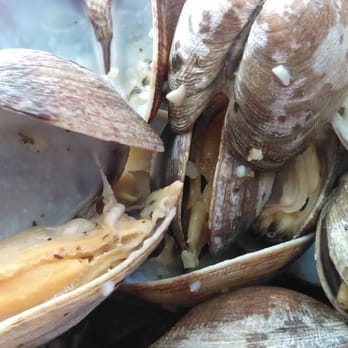 Barbara's Fishtrap - Steamed Clams - Seafood Near Me - Half Moon Bay, California Barbara's Fishtrap - Steamed Clams - Seafood Near Me - Half Moon Bay, California