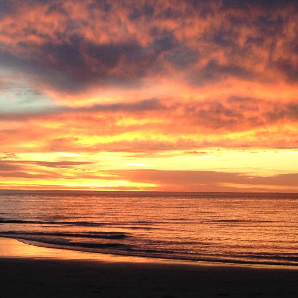 Bacchus Wine Bar - Stunningly vibrant. What a view to enjoy a bevy by. - Wine Bars Near Me - Henley Beach, SA