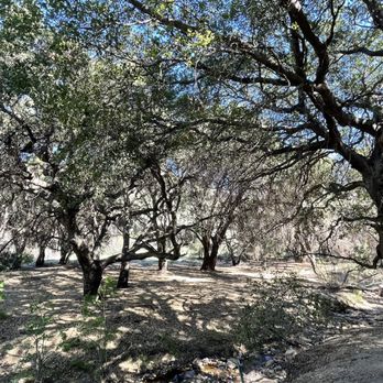 Aliso Canyon Park - A little eerie and a little serene. - Hiking Near Me - Granada Hills, California