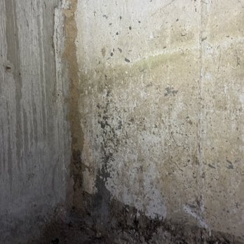 ALM Exterminating - Pest Control Near Me - Northport, New York