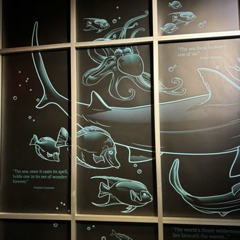 Columbus Zoo and Aquarium - Zoos Near Me - Powell, Ohio