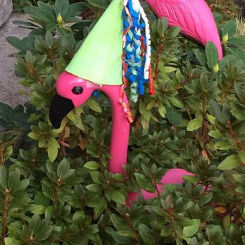 Think Pink Flamingo Flocking - How cute is this! So fun - Party & Event Planning Near Me - Portland, Oregon