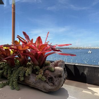 Riviera Mexican Cantina - Nice view from patio! - Mexican Near Me - Redondo Beach, California Riviera Mexican Cantina - Nice view from patio! - Mexican Near Me - Redondo Beach, California
