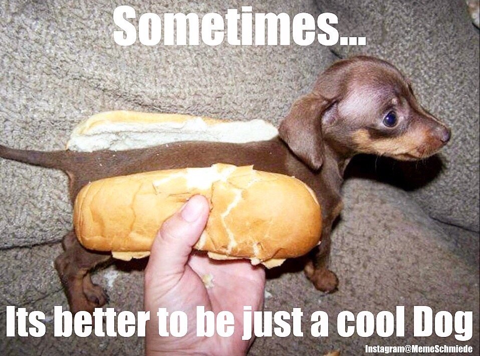 Hot Dog Laden 2