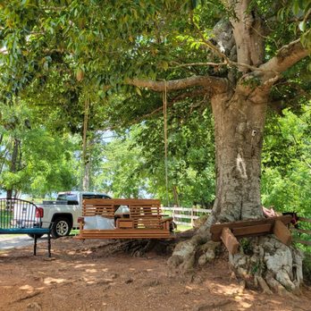 Cowgirl Up Stables - Waiting and post ride rest area. - Horseback Riding Near Me - Cherry Log, Georgia