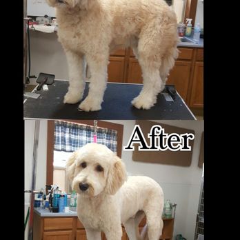 Mel's Paw Spaw - Pet Groomers Near Me Mel's Paw Spaw - Pet Groomers Near Me