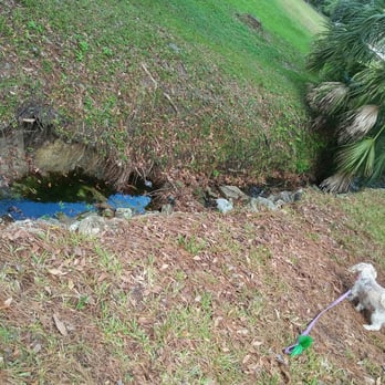 Henry And Ola park - Parks Near Me - Tampa, Florida