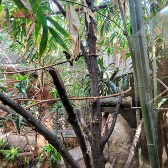 Lincoln Park Zoo - Exhibit - Zoos Near Me - Chicago, Illinois