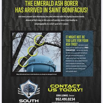 South Lake Ash Shield - Tree Services Near Me - Excelsior, Minnesota South Lake Ash Shield - Tree Services Near Me - Excelsior, Minnesota