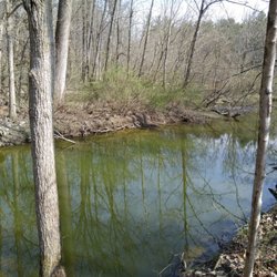 O'Shaughnessy Nature Preserve - Creek area