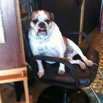 Nue Studio - Hair Salons Near Me - Miami, Florida Nue Studio - Hair Salons Near Me - Miami, Florida