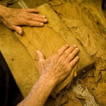 El Leon Cigars - Fun To See The Cigars Being Made - Tobacco Shops Near Me - Los Angeles, California El Leon Cigars - Fun To See The Cigars Being Made - Tobacco Shops Near Me - Los Angeles, California